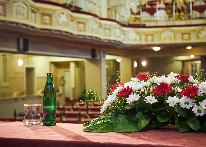 Ambassador Zlata Husa